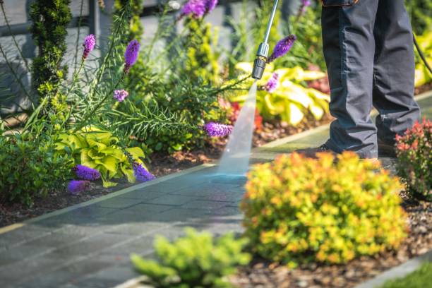 Best Residential Exterior Washing  in Valley Falls, RI